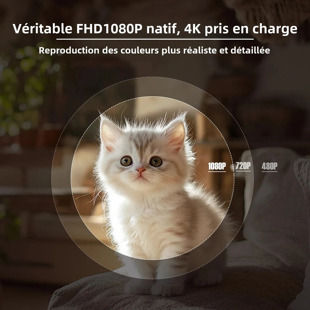 Magcubic L018 vidéoprojecteur