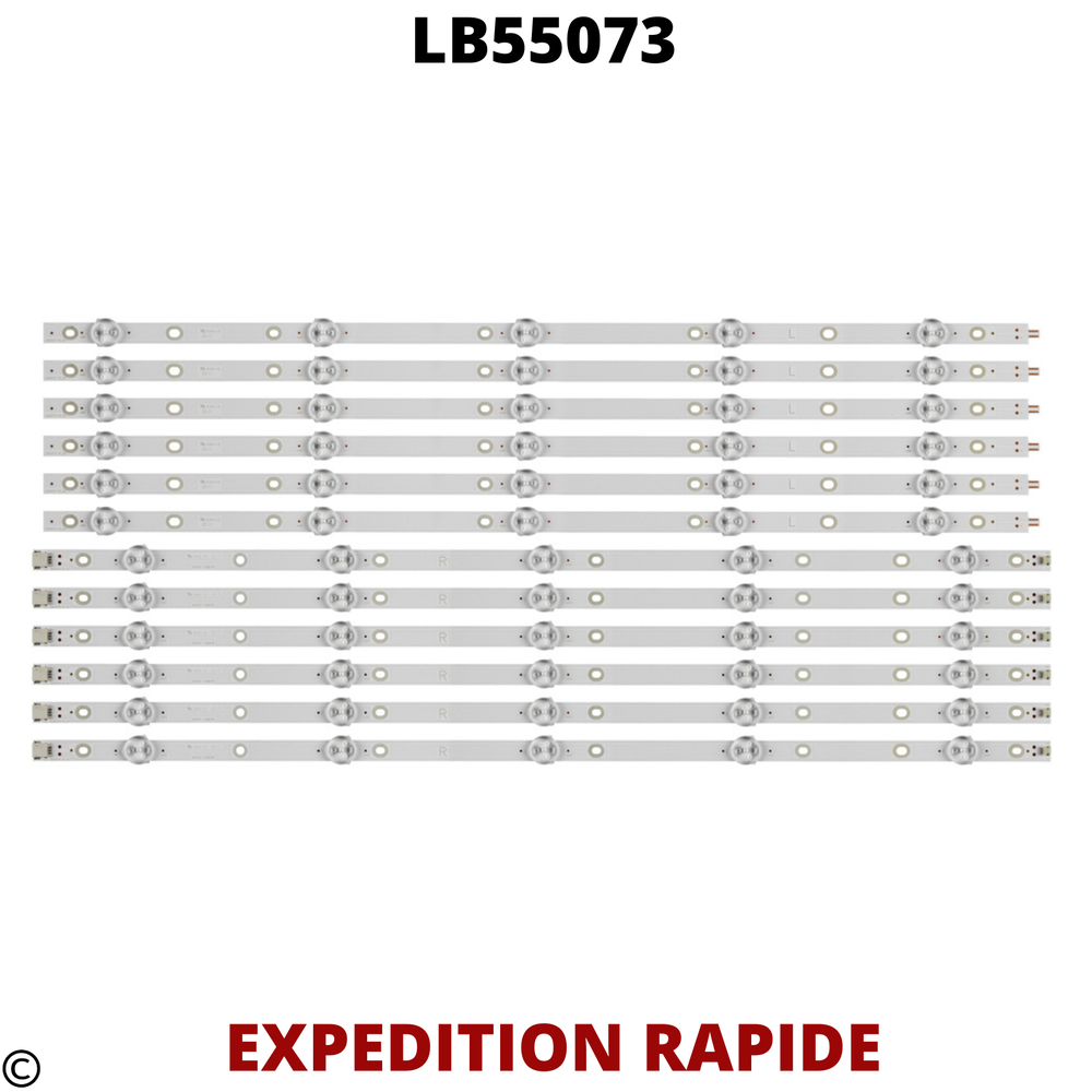 LB55073V0_01 LB55073V1_02