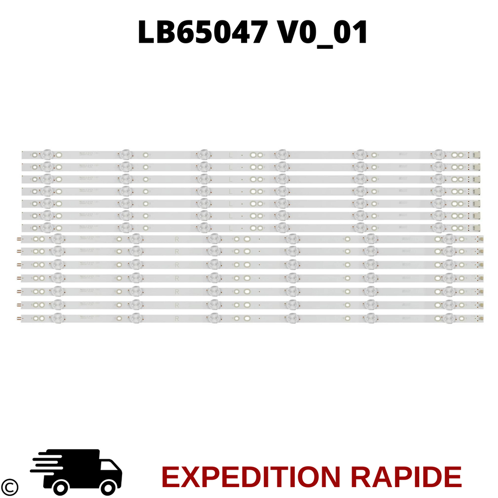 LB65047 V0_1