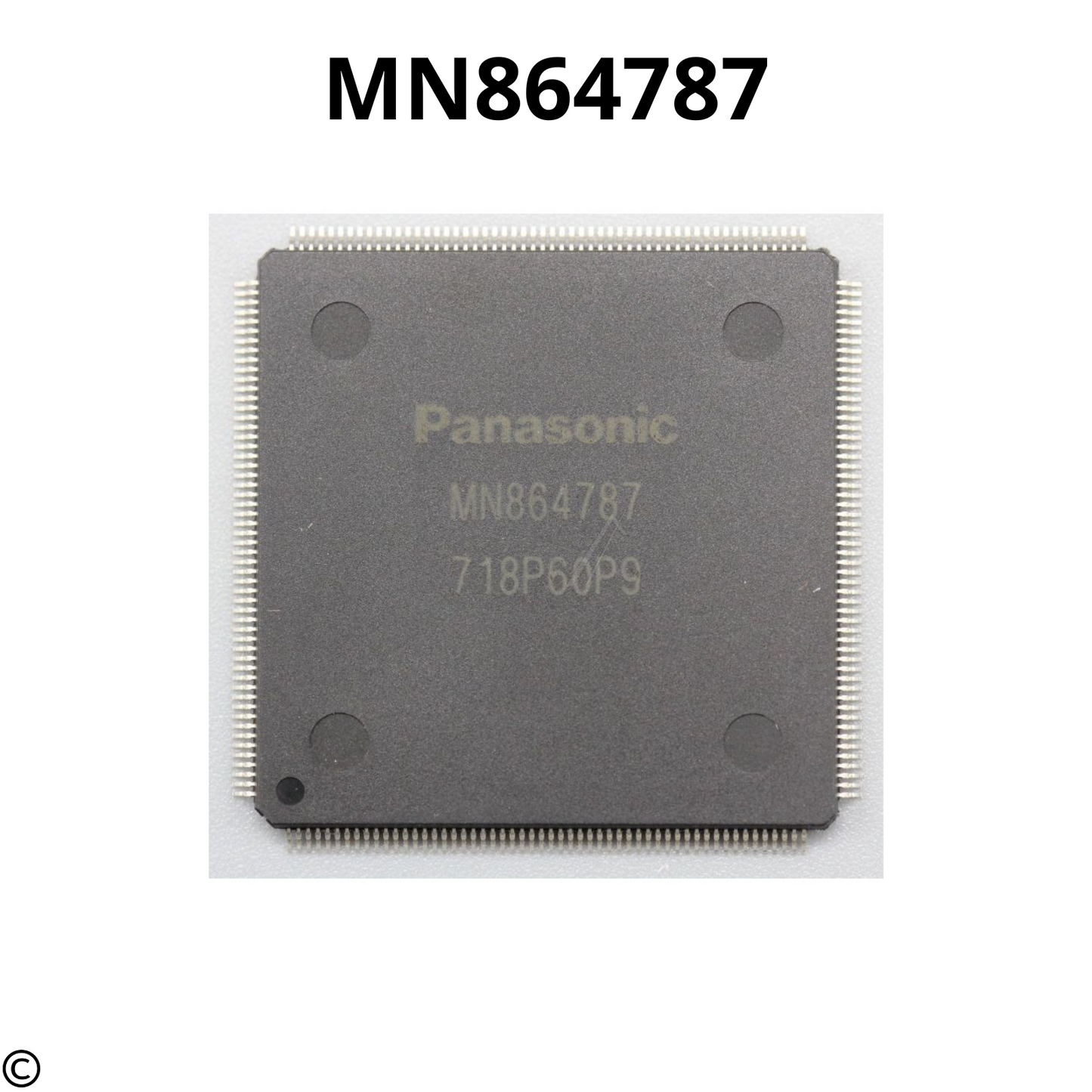 MN864787