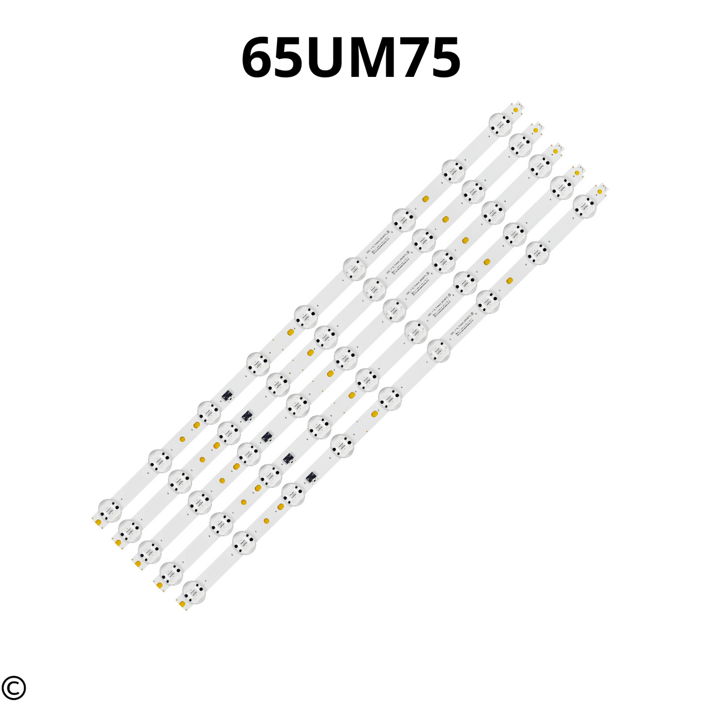 65UM75 SSC-Y19 TRIDENT
