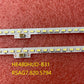 LED48K461X3DU Bande LED 48" – SSY-1134284-A HE480HUD-B31 RSAG7.820.5794