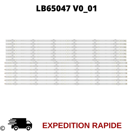 LB65047 V0_1 