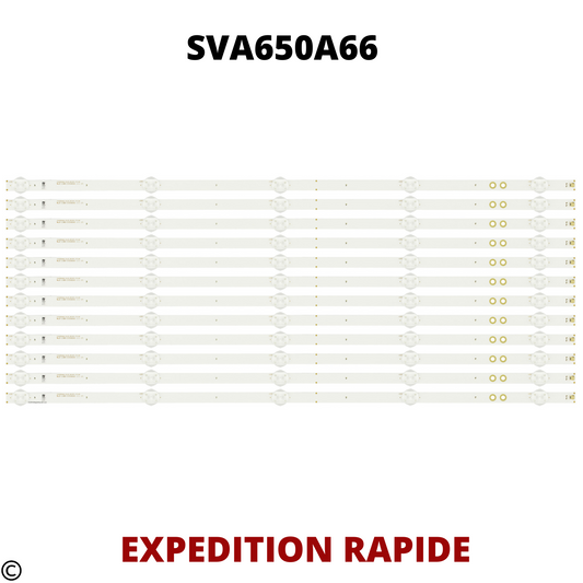 SVA650A66-5LED-REV0 , SVA650A74-5LED-REV01