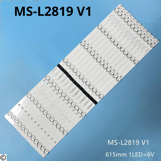 MS-L2819 V1 